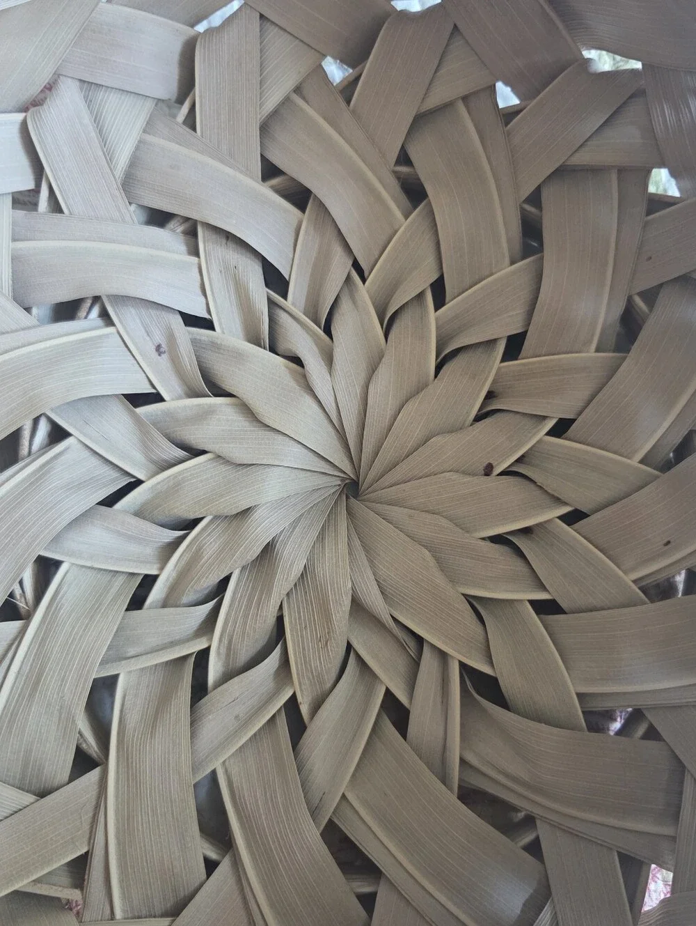 Handwoven Natural Palm Frond Decorative Basket - Natural